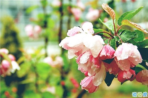 幸福情侶唯美說(shuō)說(shuō)帶圖片大全 我要陪你從新型安走到歸屬感和安全感9