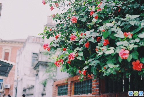 2019最新經(jīng)典說說給人希望 激勵(lì)人心的經(jīng)典說說帶圖片4