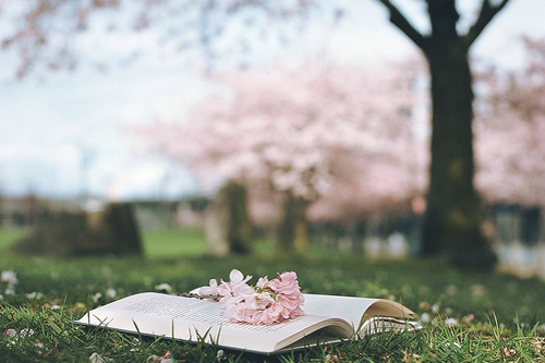 正能量的早安心語(yǔ)寫給有點(diǎn)低落沮喪的你的圖片說(shuō)說(shuō)5