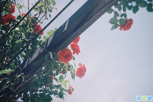 時(shí)間讓我們成長(zhǎng)成熟的有些難過(guò)的傷感說(shuō)說(shuō) 生活很現(xiàn)實(shí)的成長(zhǎng)傷感說(shuō)說(shuō)1