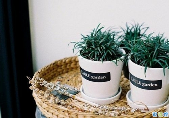 2019最新經(jīng)典愛(ài)情說(shuō)說(shuō)大全 愛(ài)情勵(lì)志的話(huà)簡(jiǎn)短精辟1