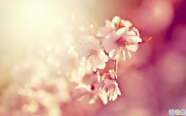 2019最佳表白情話(huà)大全簡(jiǎn)短撩人 表白情話(huà)真實(shí)點(diǎn)感動(dòng)人的1