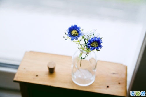 關(guān)于現(xiàn)實(shí)的人生感悟帶圖片 27條值得收藏和學(xué)習(xí)的經(jīng)典說(shuō)說(shuō)大全6