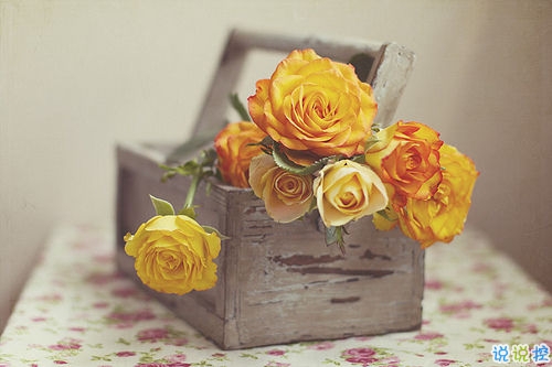 經(jīng)典唯美的浪漫句子致愛情 很暖心很有愛的唯美句子大全2