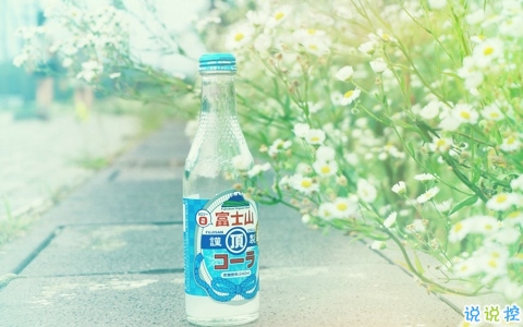 愛情中關(guān)于等待的句子和圖片 白茶清歡無別事我在等風(fēng)也等你10