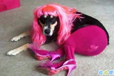 適合社會(huì)人的個(gè)性說(shuō)說(shuō)帶圖片：一巴掌拍醒所有癡心和妄想1