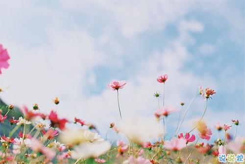 一個人跨年的傷感說說帶圖片 2019年跨年說說傷感有點想哭1