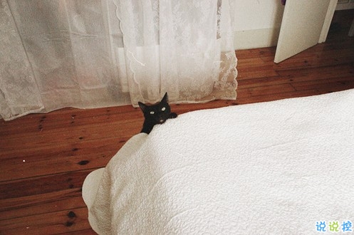 真實(shí)收獲的人生感悟說說帶圖片 都是人生路上換來的經(jīng)驗(yàn)教訓(xùn)7