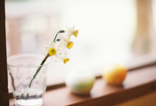 非常甜蜜的關(guān)于愛(ài)情的說(shuō)說(shuō)帶圖片 突然就覺(jué)得認(rèn)識(shí)你是件很美好的事情3