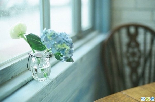 文字控喜歡的簡單唯美的一句話說說帶圖片 煙塵滾滾一路行來我應是迷了路了7