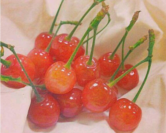 超甜蜜的句子少女心炸裂的情話 適合表白時說的句子1