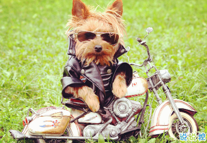 女人不花心，又怎么對得起貌美如花2