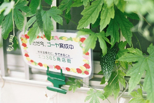 寫給步入職場的你的一些經(jīng)典感悟哲理句子帶圖片14