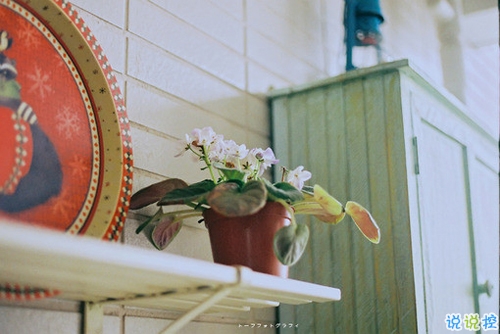 很特別的微信說說帶圖片獨一無二 15條值得收藏的經(jīng)典句子3