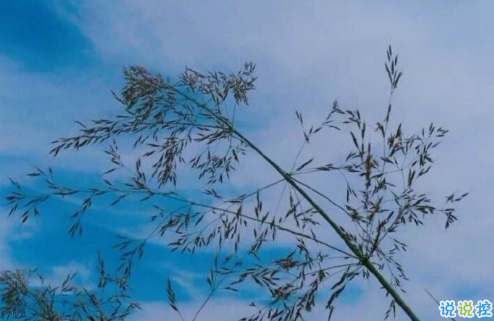 和前任說再見適合發(fā)朋友圈的一句話說說 告別前任的句子說說大全3