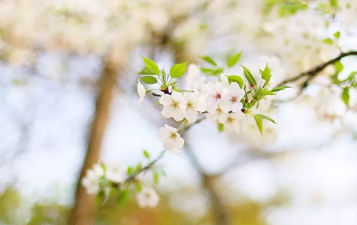 心里好煩用一段話表達(dá)的句子心情 形容焦慮的心情句子配圖5