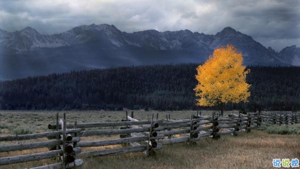 心里甜蜜蜜的愛情說(shuō)說(shuō)帶圖片 愛情說(shuō)說(shuō)一輩子只愛你10