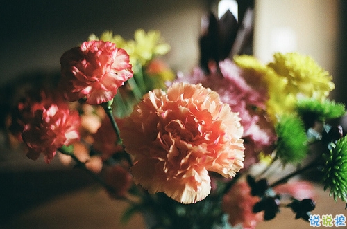 很特別的早安說說大全帶圖片 朋友圈早安心語獨一無二吸引人2