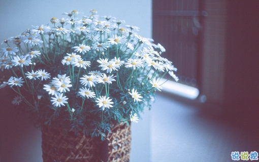 最美好的愛情說說大全 簡單幸福說說心情短語2