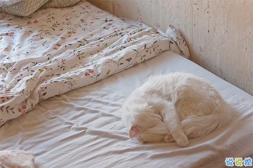 關(guān)于青春年華浪漫唯美的愛(ài)情句子 年少的笑漾著微光9