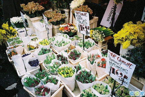 形容愛情的唯美經(jīng)典句子 最唯美的一句話愛情說說20191