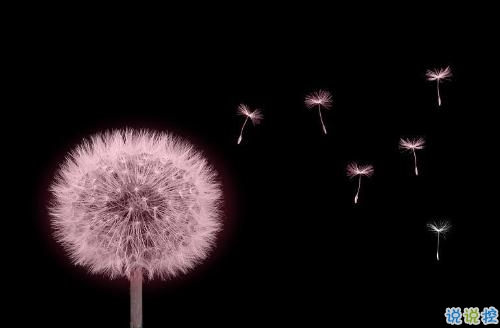 我們都琢磨不透的愛(ài)情說(shuō)說(shuō)帶圖片 忘記一個(gè)人的傷感說(shuō)說(shuō)心情12