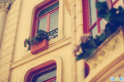 2019春分適合發(fā)朋友圈的說(shuō)說(shuō)句子帶圖片 今日春分早安經(jīng)典說(shuō)說(shuō)15