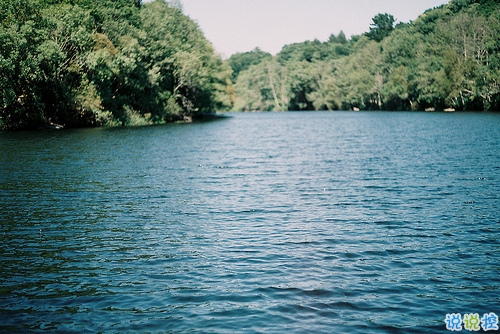 14條很美很好聽的文藝唯美說說帶圖片 森系文藝范古風說說7