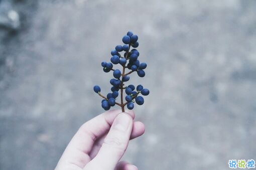 溫暖治愈系情感說說帶圖片 愿你迷路到我身旁15