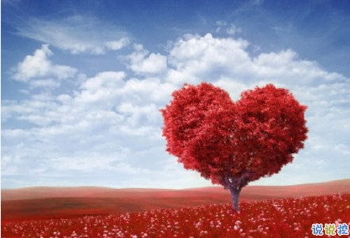 2019最新婦女節(jié)祝福語(yǔ)說說 38婦女節(jié)住所有女性節(jié)日快樂2