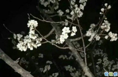 關(guān)于學(xué)習(xí)努力奮斗的說(shuō)說(shuō)致自己 提升自己的正能量說(shuō)說(shuō)激勵(lì)人心1