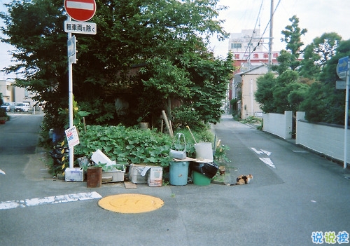 那些和青春夏天有關(guān)的唯美簡單小清新圖片句子 陽光傾落風(fēng)雨都不舍1