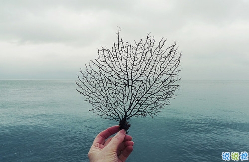 突然很懷念過去的說說內(nèi)心難受 真的很想很想一個人的說說7