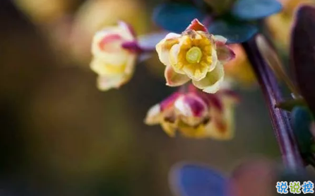 2019送給自己的一句話勵(lì)志 新的開始送給自己的一句話簡(jiǎn)短3