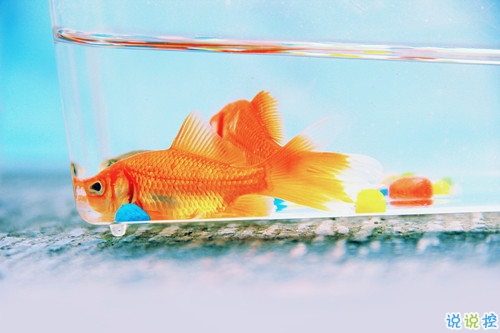 很精辟人生感悟的句子和圖片 寫人生感悟的句子帶圖片20188