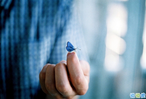 文字控偏愛的文藝小清新簡單的唯美句子帶圖片4