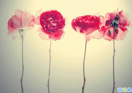 2019春分適合發(fā)朋友圈的說(shuō)說(shuō)句子帶圖片 今日春分早安經(jīng)典說(shuō)說(shuō)8