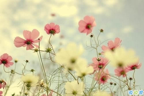 異地戀的酸甜苦辣說(shuō)說(shuō)大全帶圖片 關(guān)于異地戀的微信說(shuō)說(shuō)8