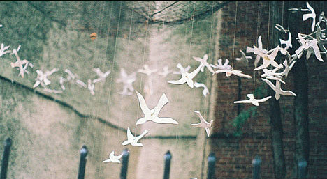 超傷感的00后難過心痛說說帶圖片 樹深時(shí)霧起海深時(shí)浪涌13