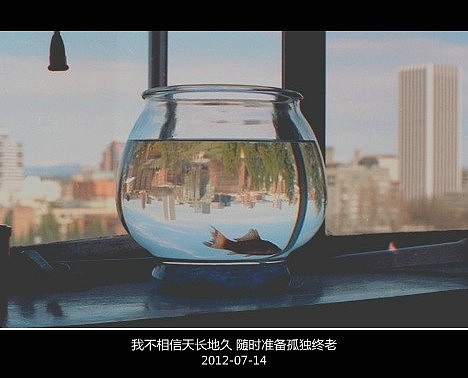 超傷感難過悲傷的愛情說說 你是我枯水年紀(jì)里的一場雨9