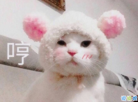 女生超甜的心情說(shuō)說(shuō)關(guān)于愛(ài)情帶圖片 很甜很撩的話適合發(fā)朋友圈配圖13