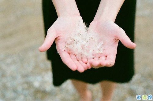 那些抖音中唯美的小清新圖片句子 浮世萬千吾愛有三8