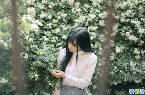 14條很美很好聽的文藝唯美說說帶圖片 森系文藝范古風說說14