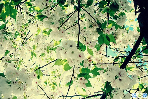 刷爆朋友圈的個(gè)性說說2019精選 很特別很有趣的微信說說大全2