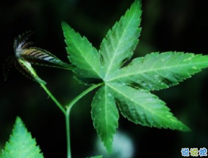 女生現(xiàn)實(shí)霸氣個(gè)性說說配圖大全 最新最酷女生個(gè)性說說帶圖片6