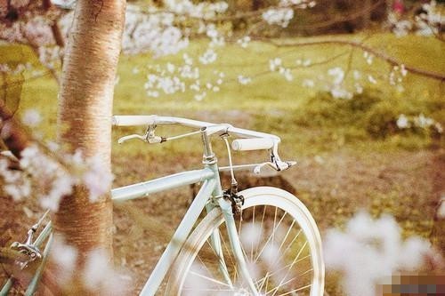 關(guān)于現(xiàn)實(shí)生活人生的哲理說(shuō)說(shuō)帶圖片 一個(gè)人活著應(yīng)該永遠(yuǎn)要把目光投向遠(yuǎn)方14