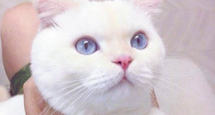 那些讓人捧腹大笑的搞笑職場生活說說帶圖 發(fā)呆是每個上班族的心愿6