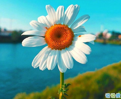 對愛情徹底死心的傷感說說2018 一句話讓人瞬間落淚的愛情說說2