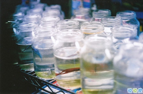 讓人聽(tīng)了心酸淚目的一些話(huà)帶圖片 看完瞬間眼紅忍不住想哭10