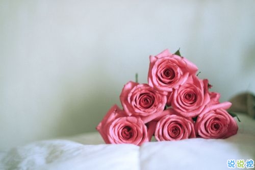 2019白色情人節(jié)朋友圈說(shuō)說(shuō)大全 314白色情人節(jié)祝福語(yǔ)說(shuō)說(shuō)暖心2